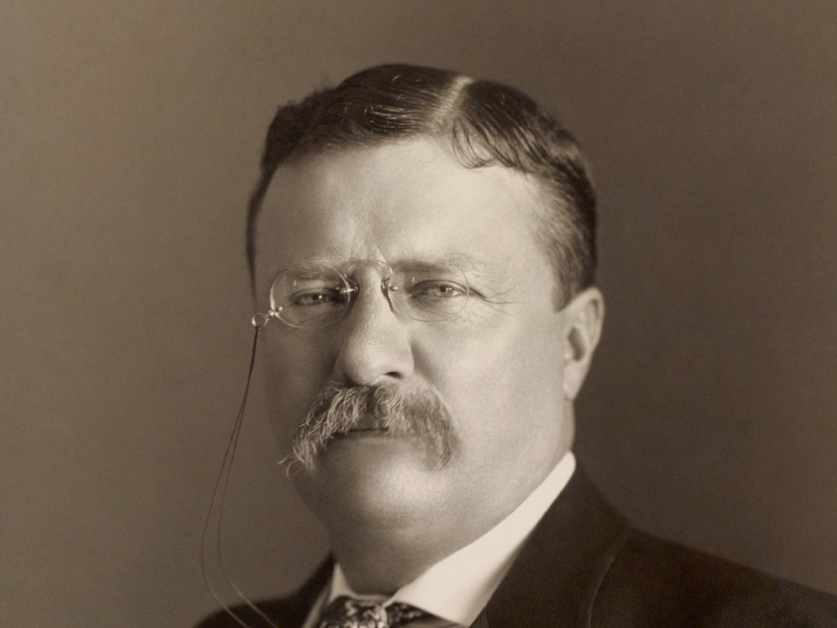 Teddy Roosevelt as President