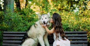 A Little Woman and Her Dogo