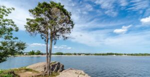 shelter island