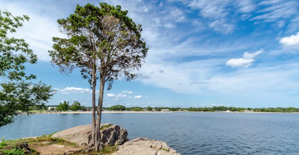 shelter island