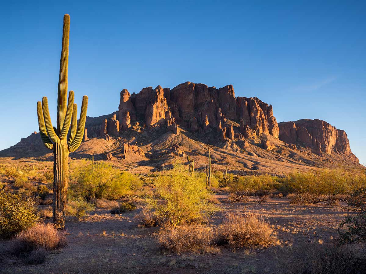 Arizona