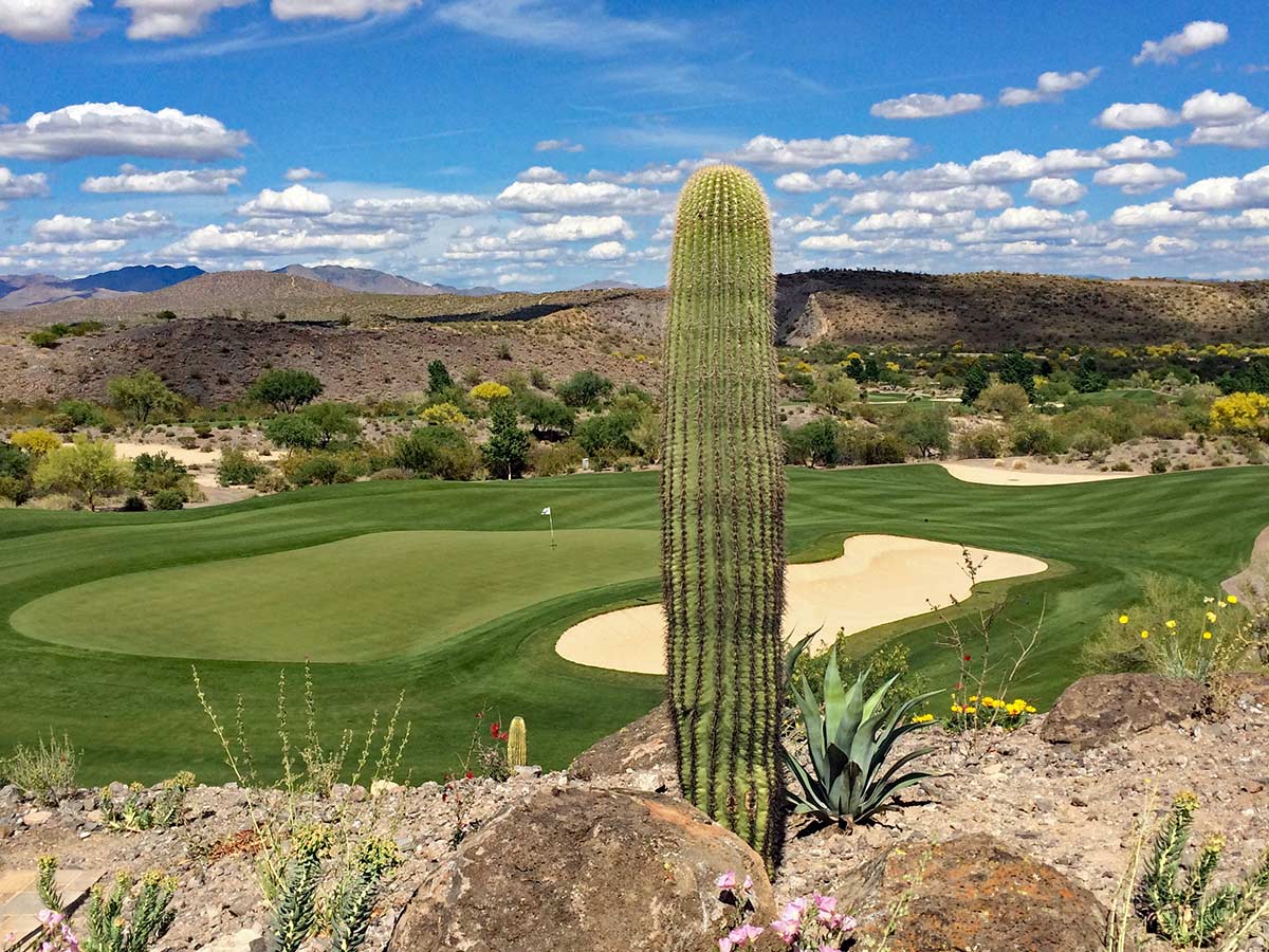 Arizona