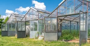 greenhouses