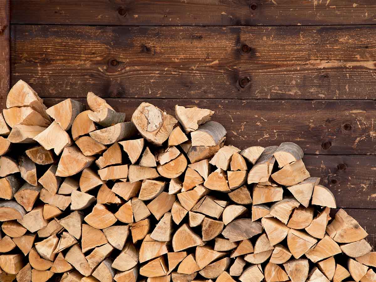 Wood Piles