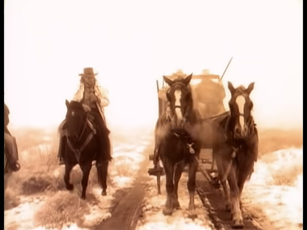 "Should've Been a Cowboy"