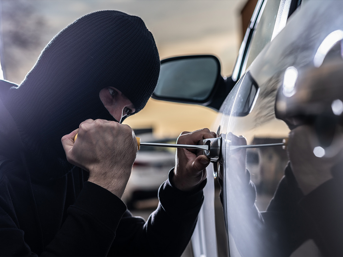 A Target for Thieves