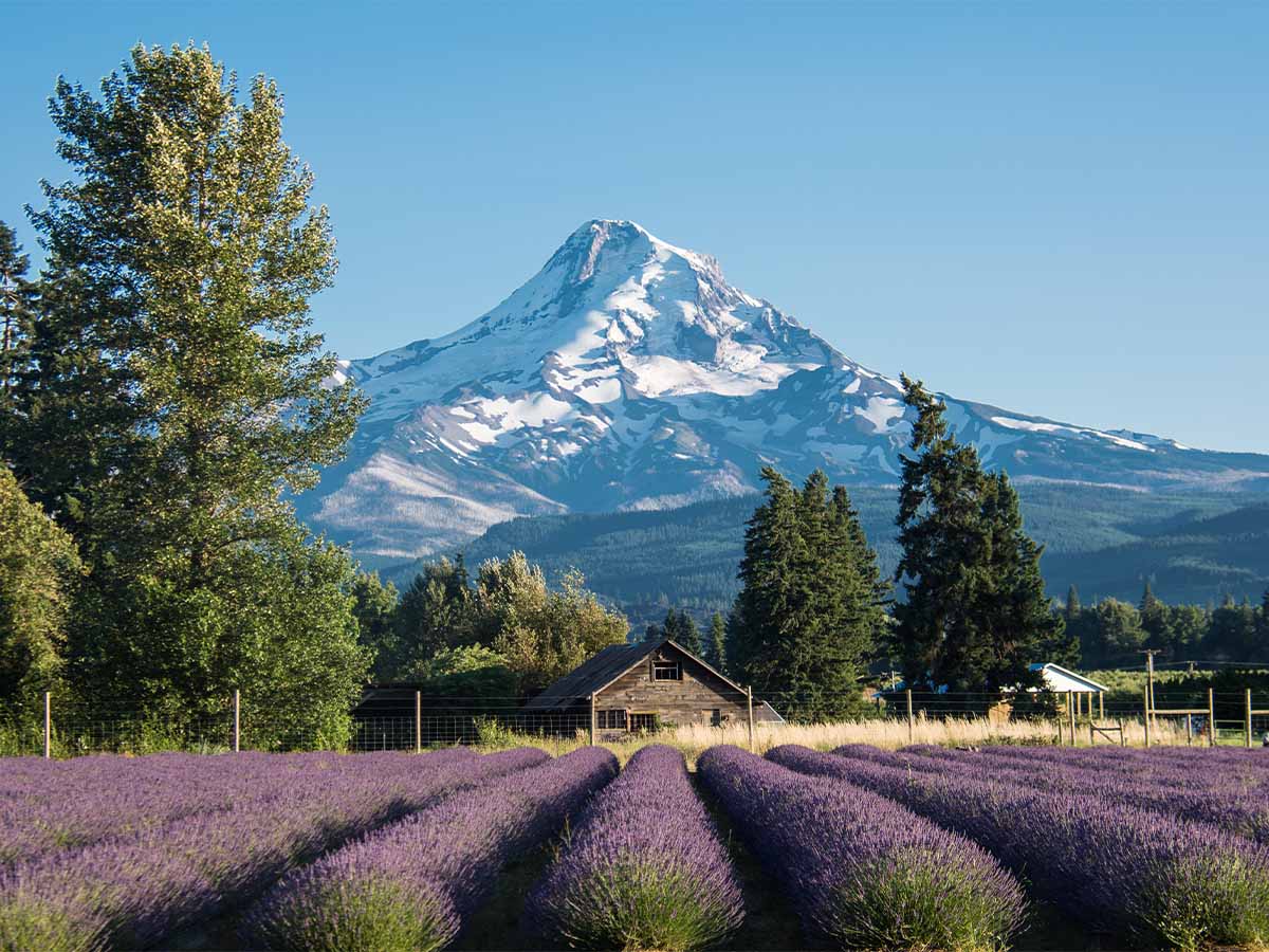 Oregon