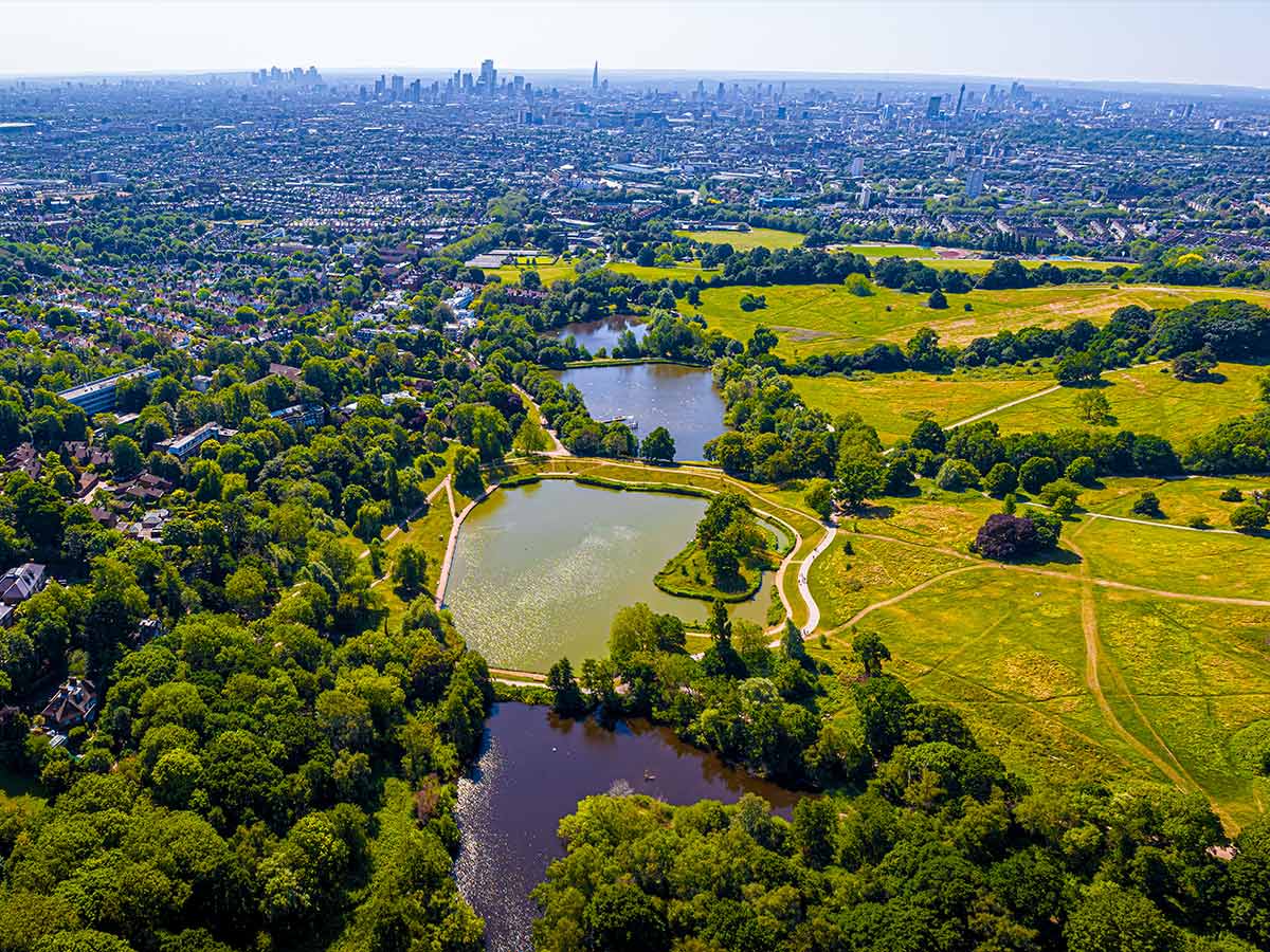 The Heath