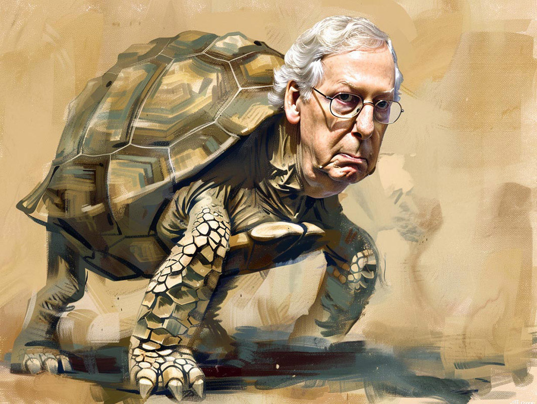 Mitch McTortoise