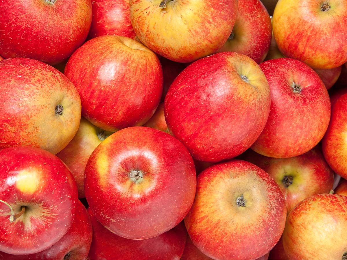 Washington - Apples