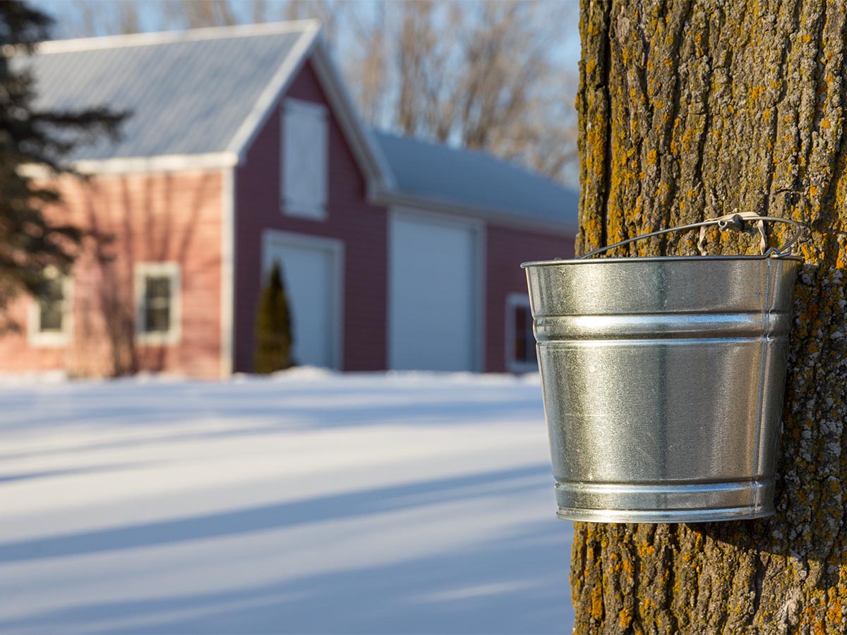 Vermont - Maple Syrup