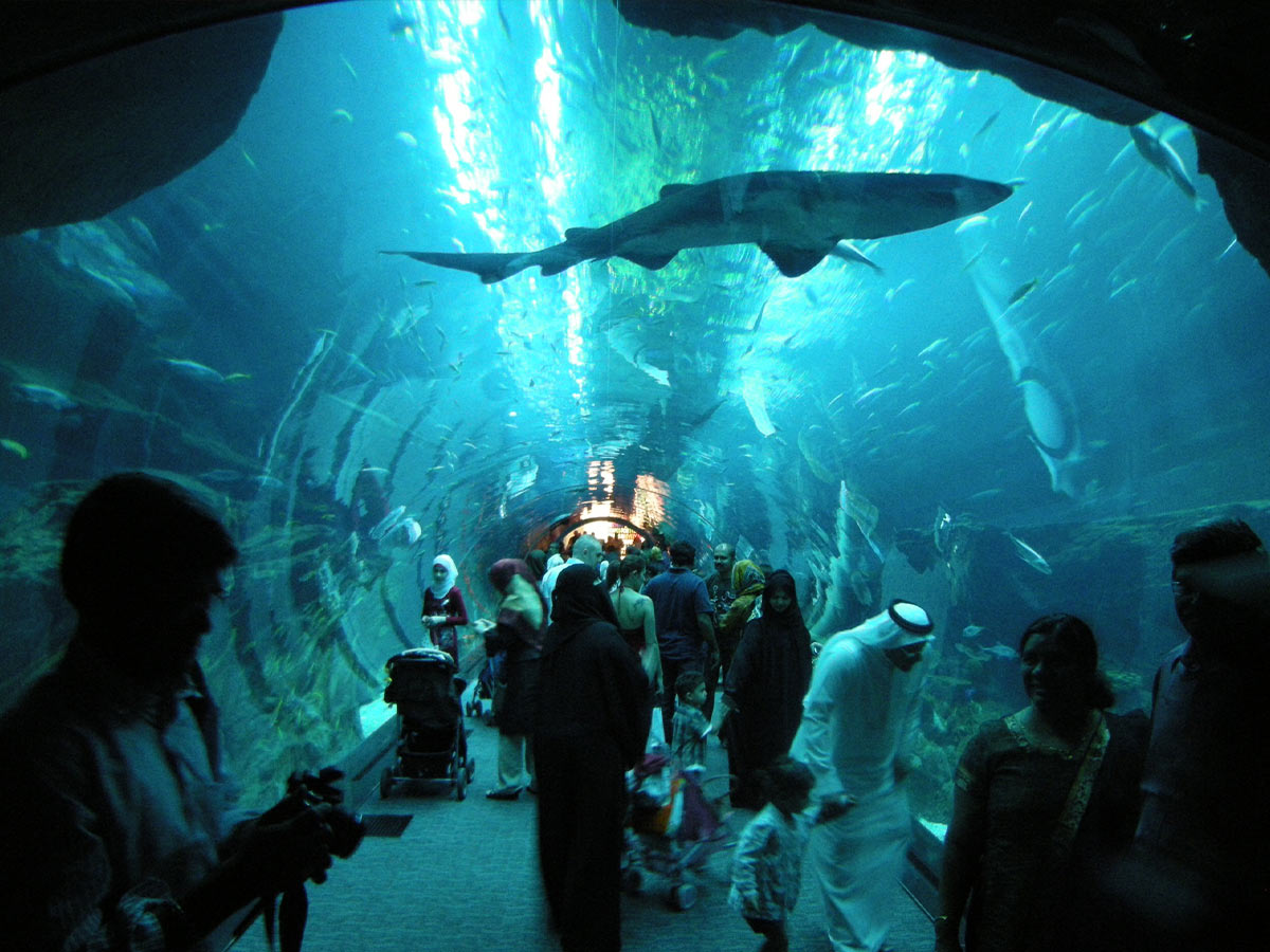 Dubai Mall Aquarium Leak