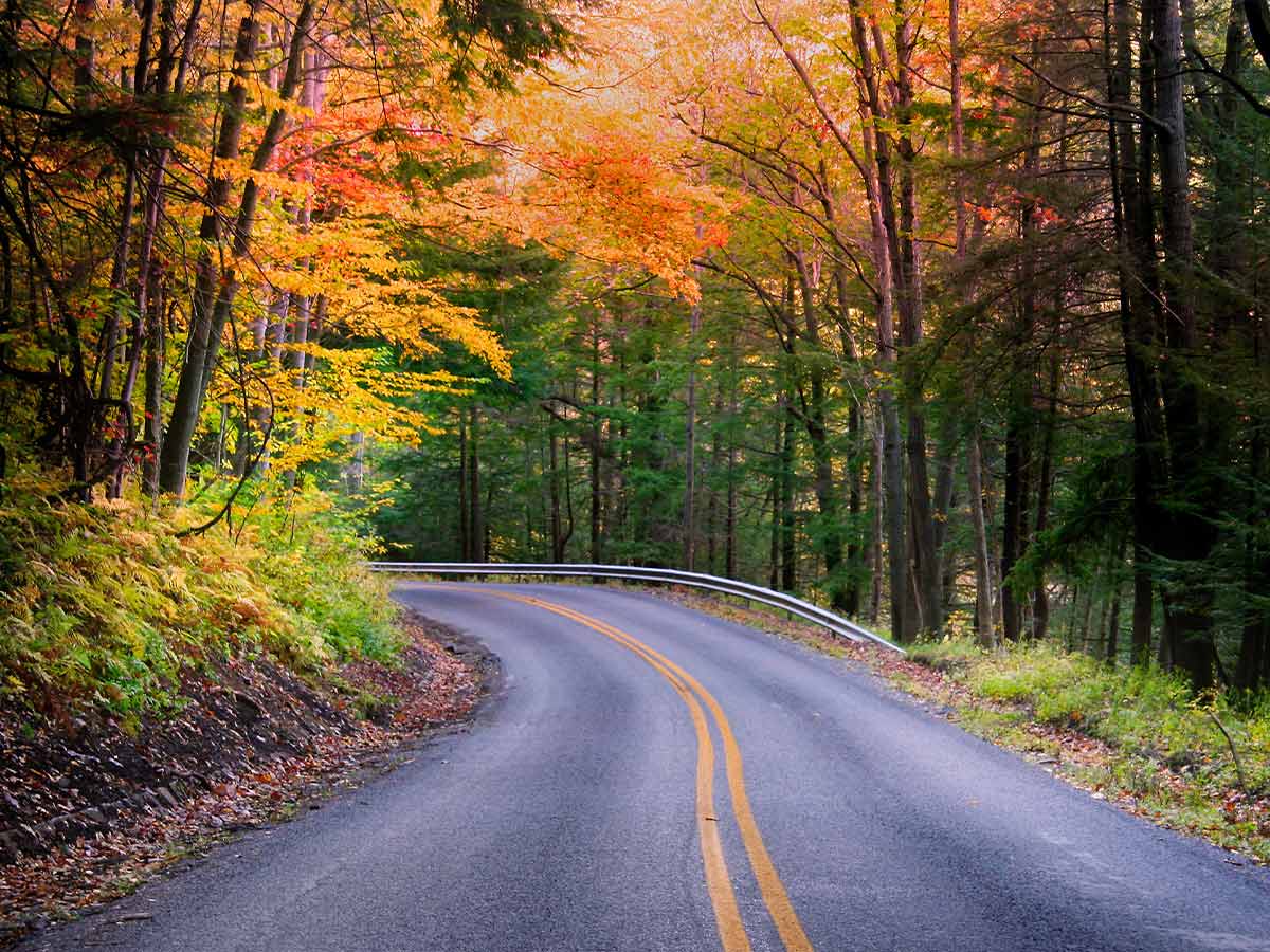 West Virginia