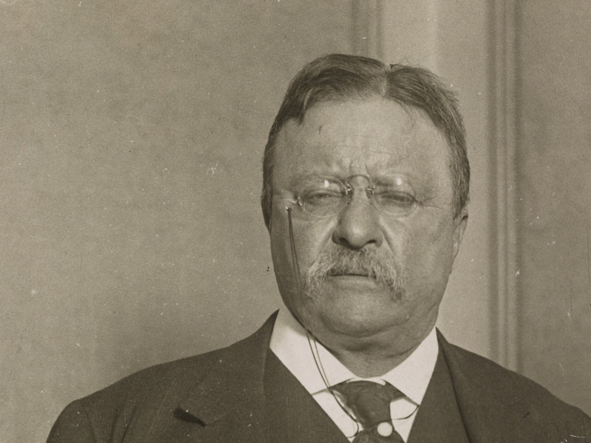 Theodore Roosevelt After