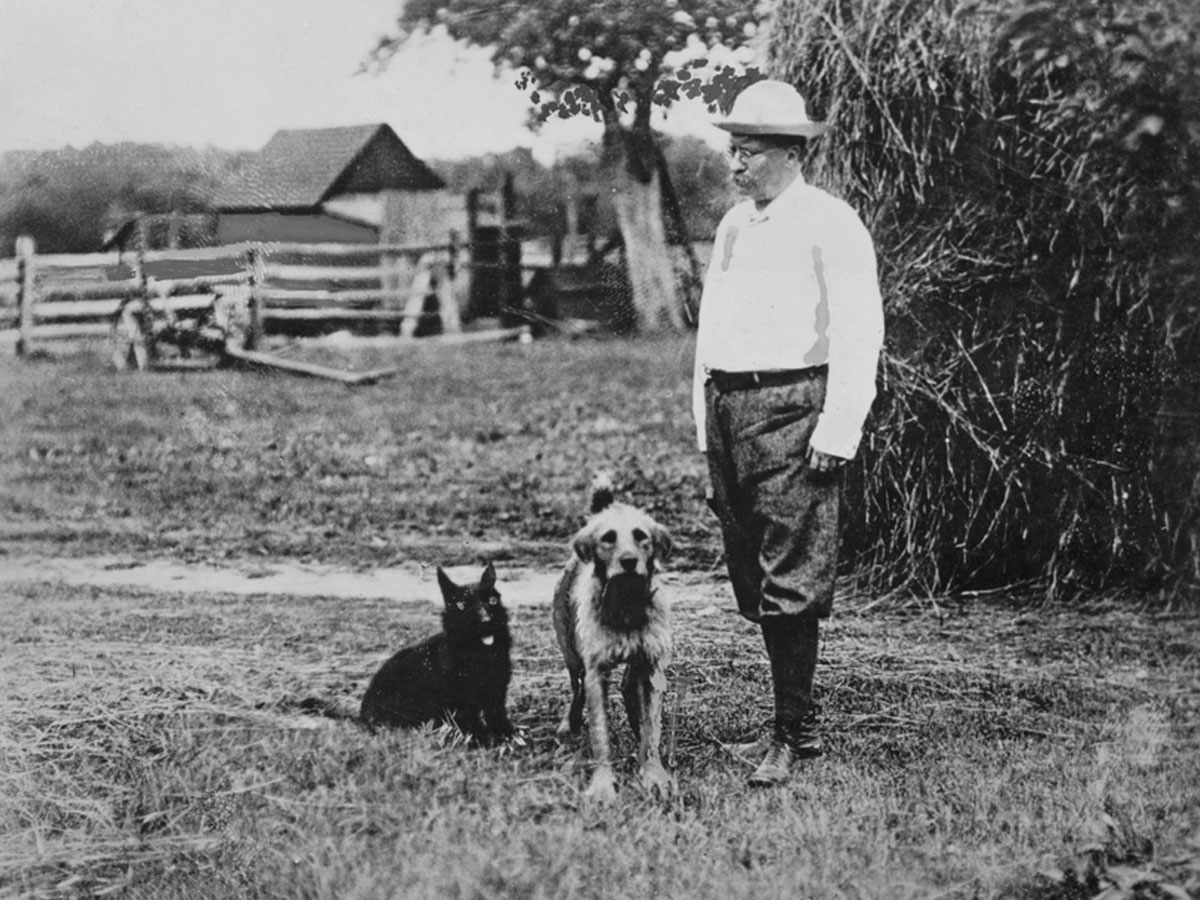 Teddy Roosevelt