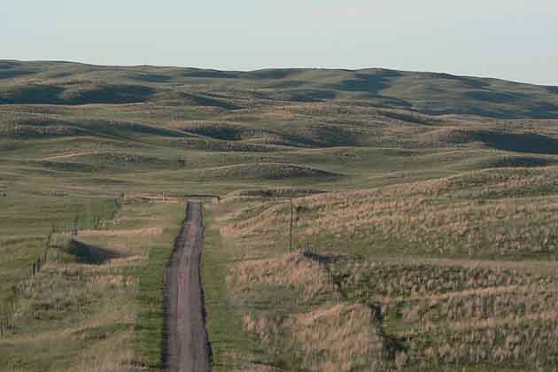 Rolling Hills Down a Country Road