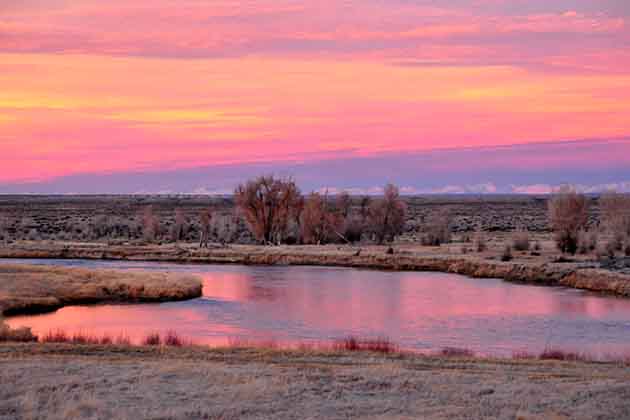 A Pink Sunset Refuge