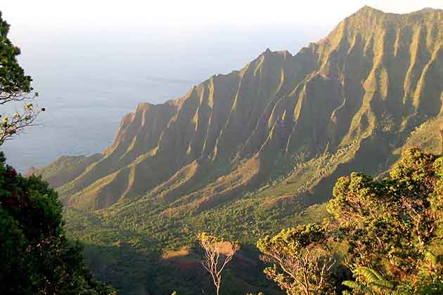 Green Cliffs Near the Coast