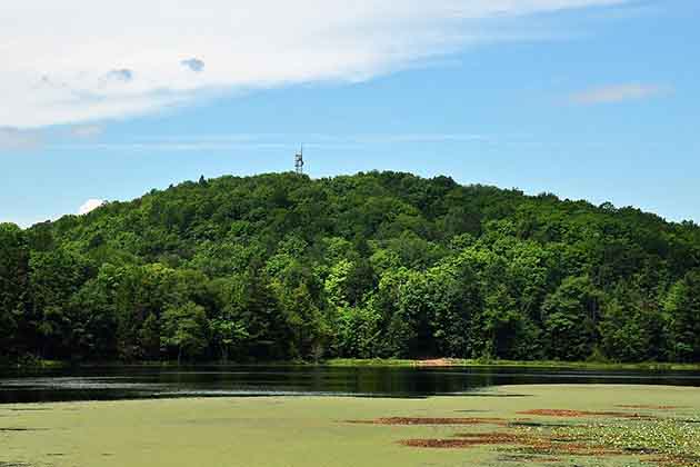 Top-of-the-Hill Tower