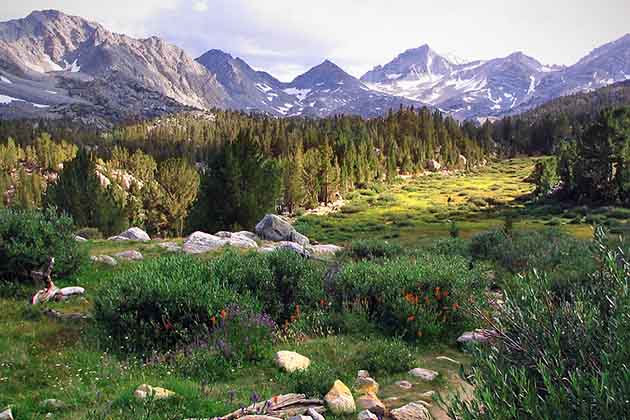 Forests, Meadows, & Mountains