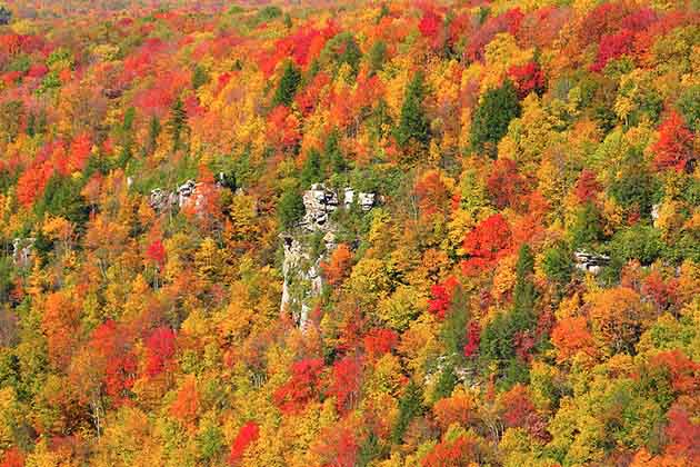 Red & Orange as Far as the Eye Can See