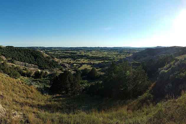 A Grassy Valley Panorama