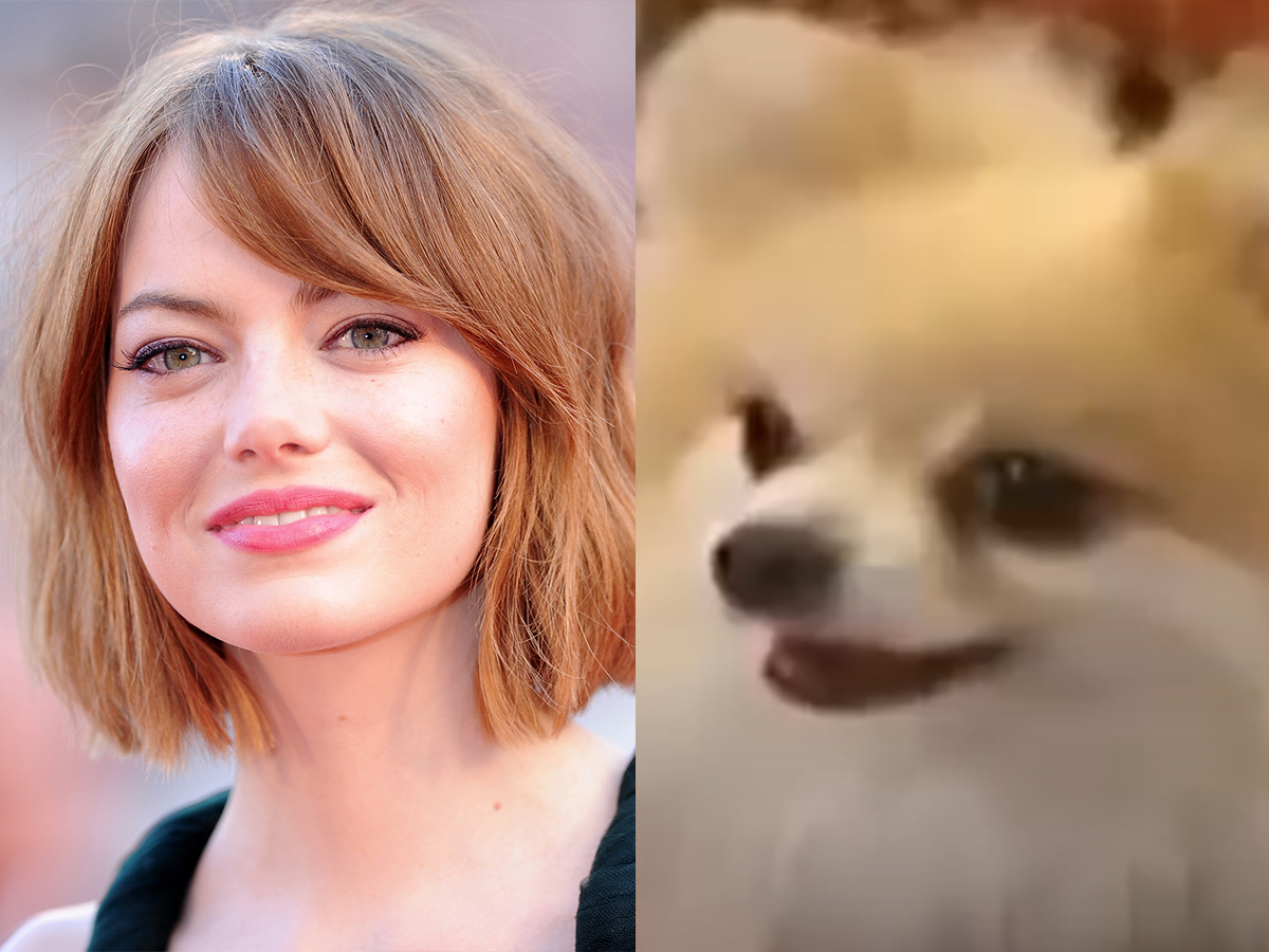 Emma Stone: The Voice of Ivana Tipton in The Suite Life of Zack & Cody