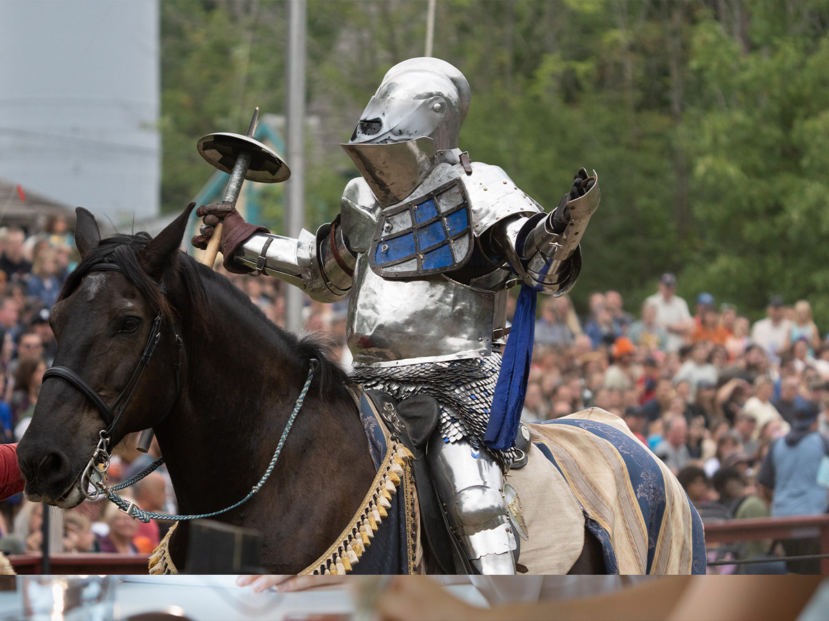 Medieval Studies