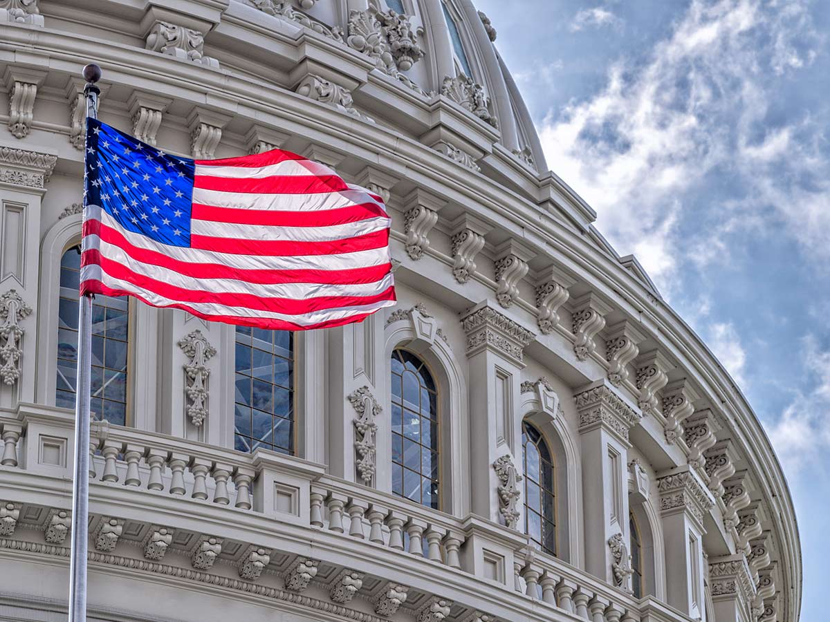 "NRA Owns Congress"