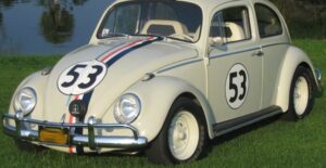 the love bug