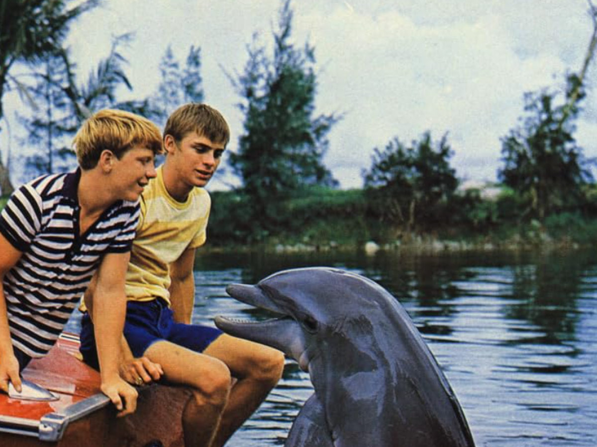 Flipper