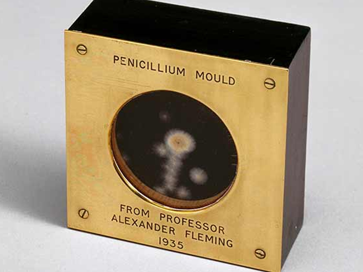 Penicillin
