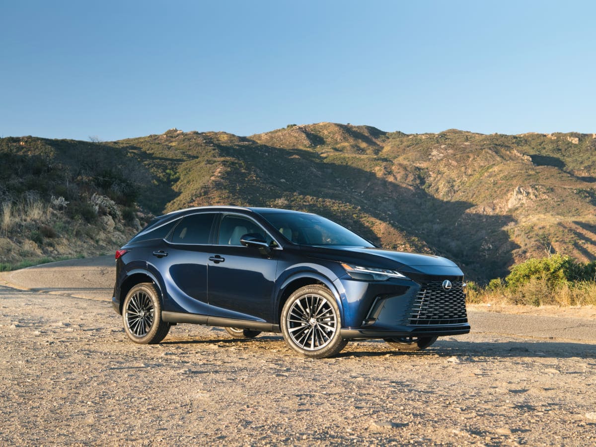 2025 Lexus RX