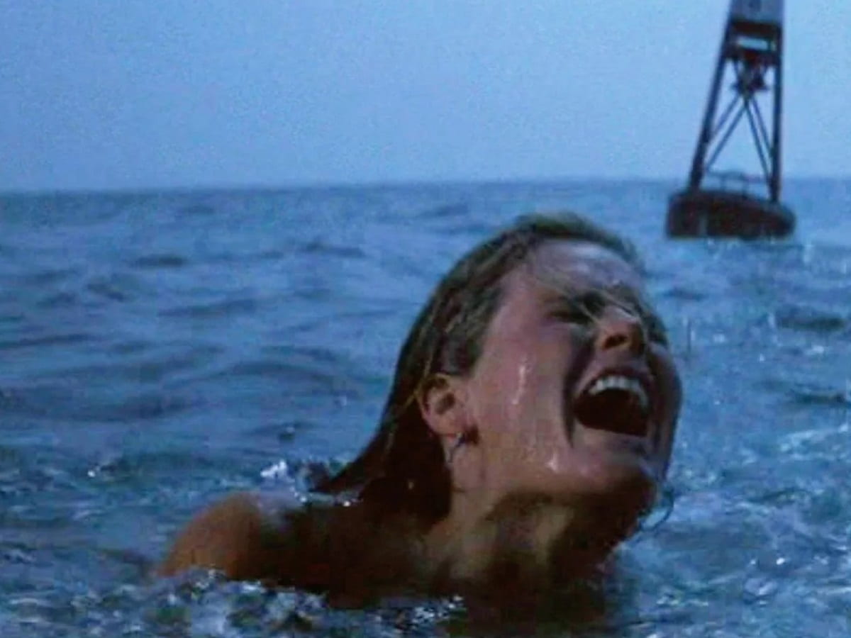 Jaws