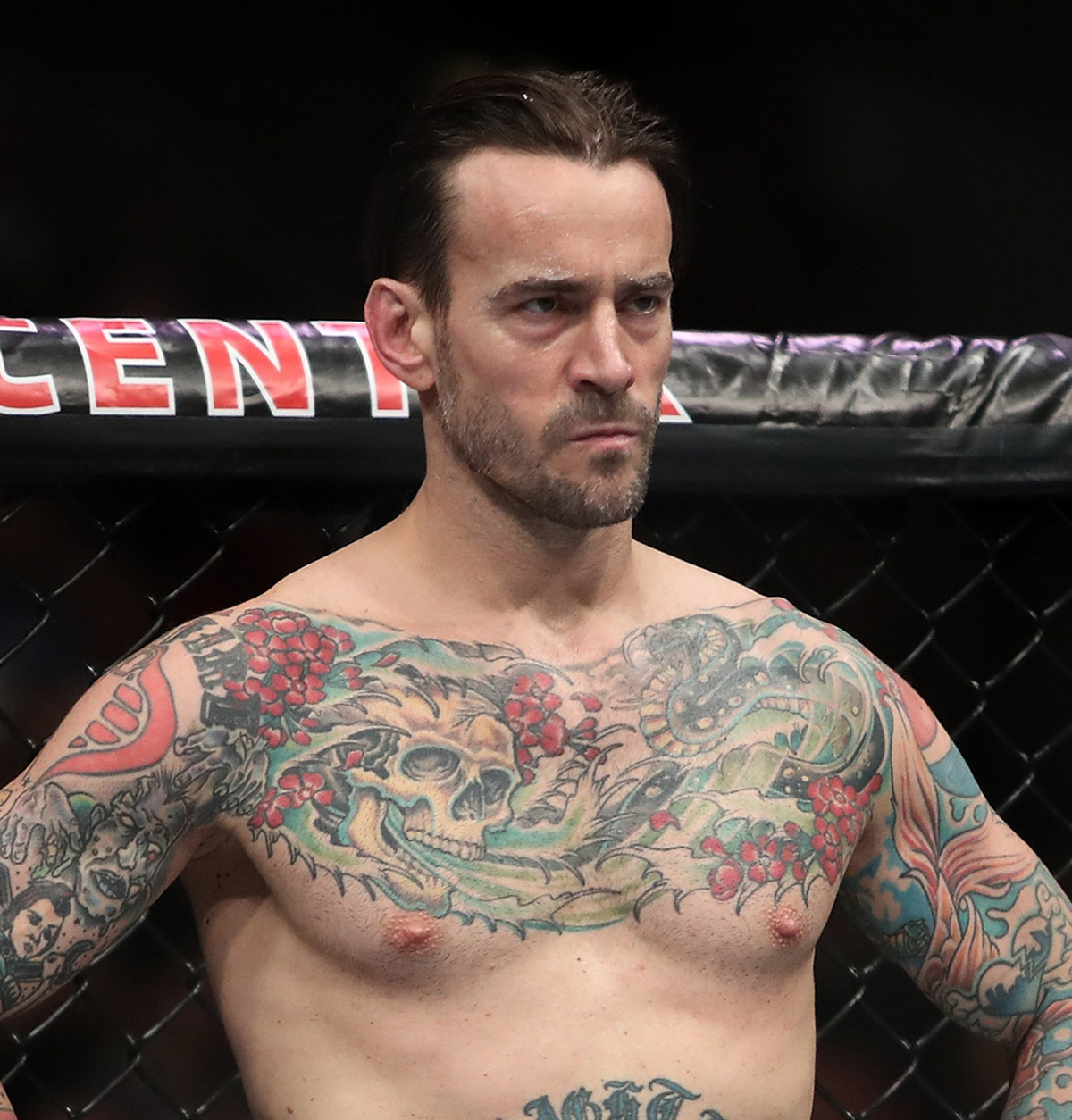 CM Punk