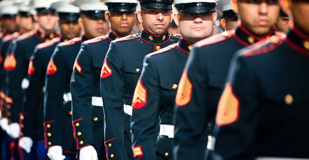 military branches by the numbers