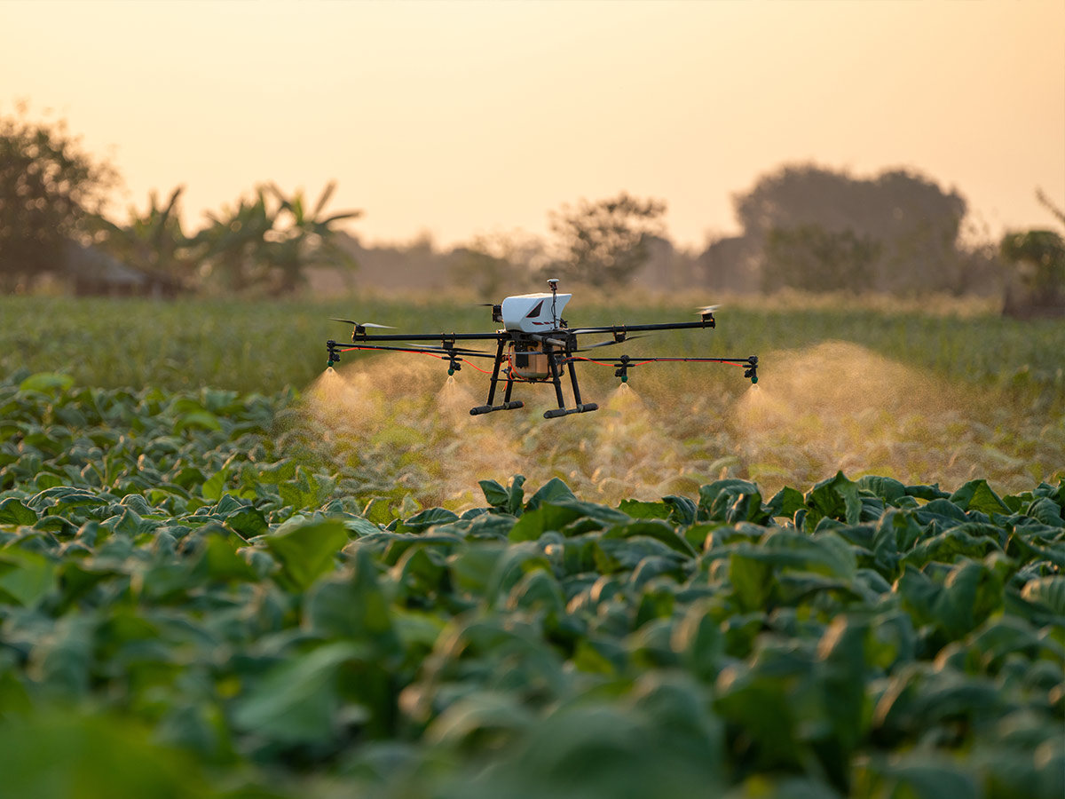 Agriculture