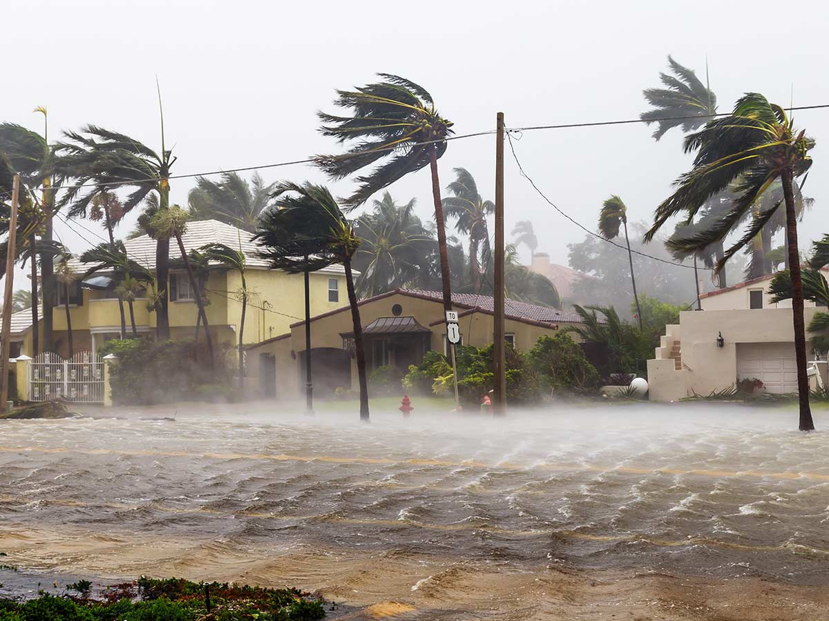 Hurricane Irma ($77 Billion)