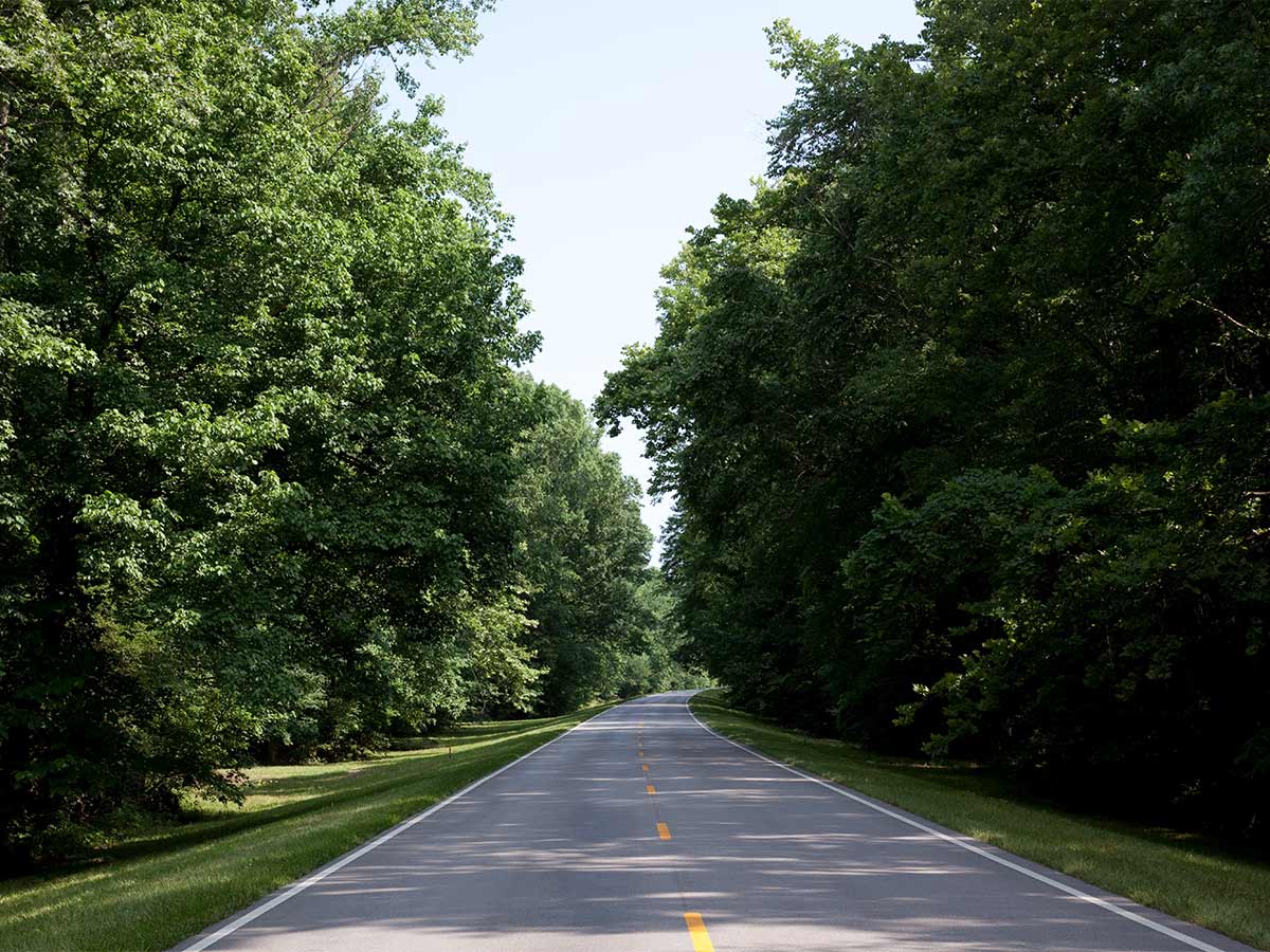 Alabama: Natchez Trace Parkway