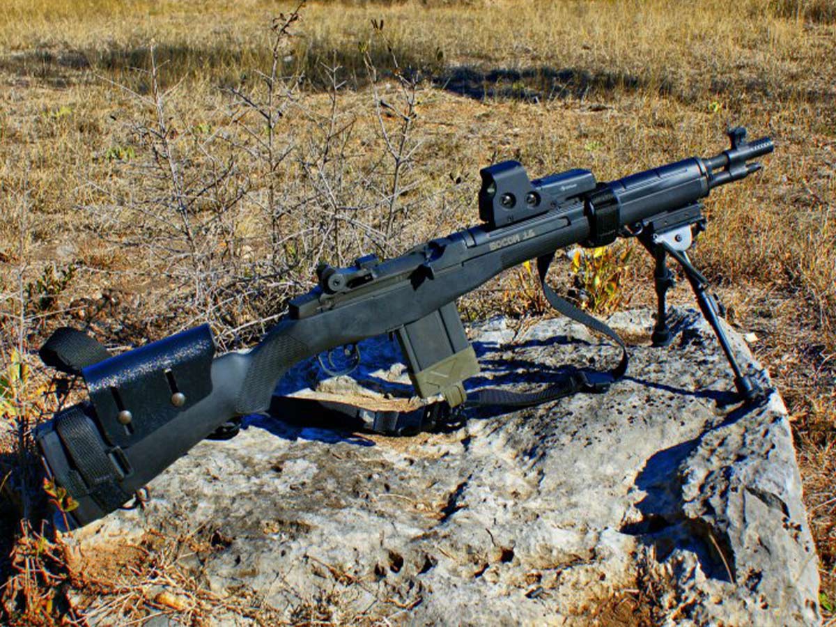 Springfield M1A