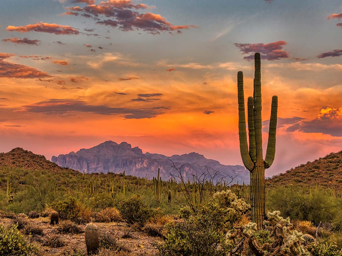 Arizona