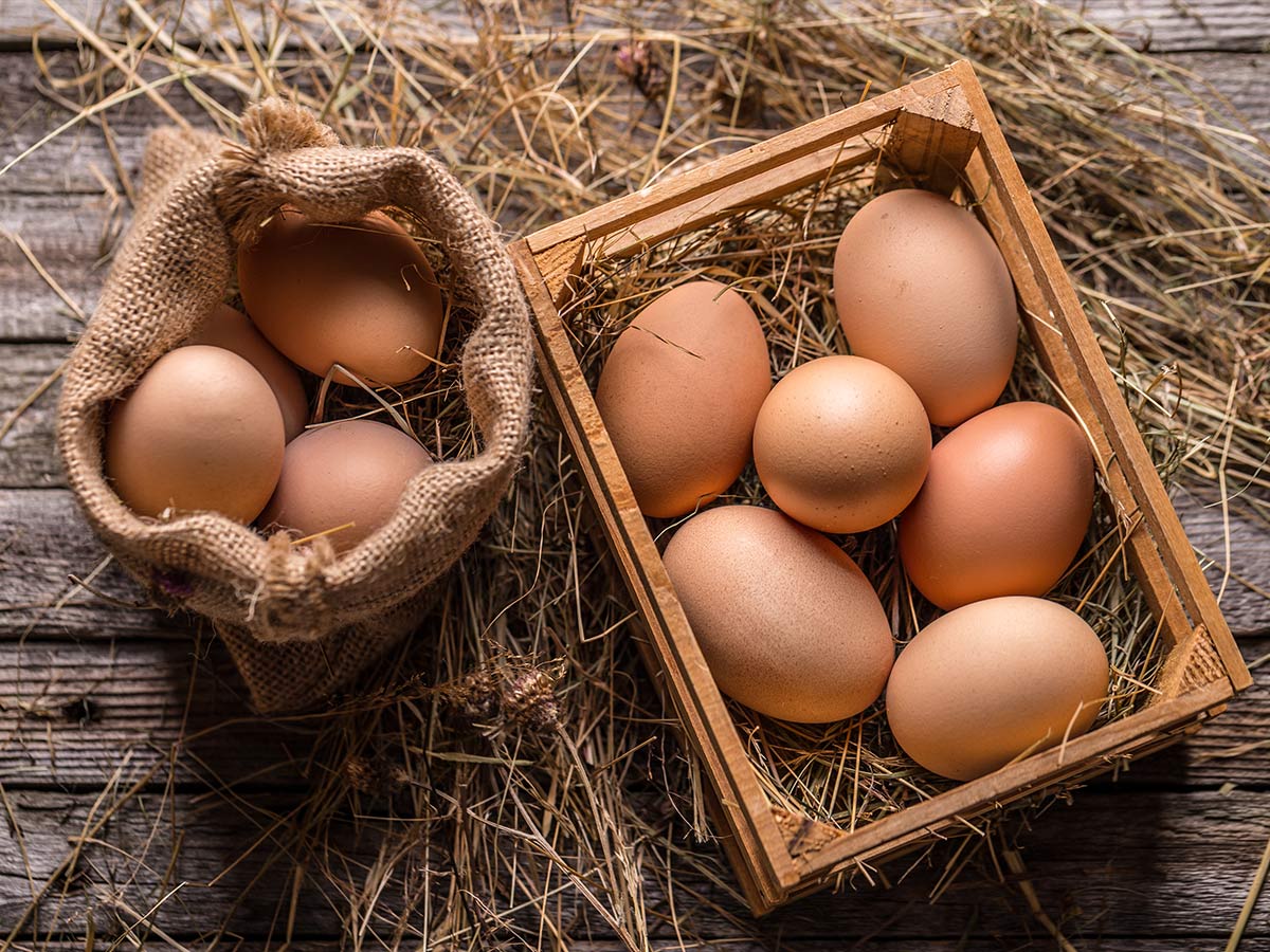 Whole Eggs