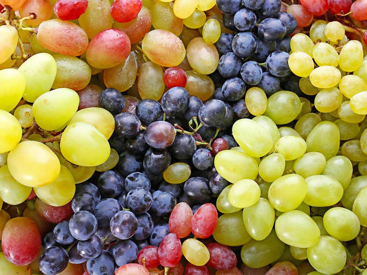 Grapes