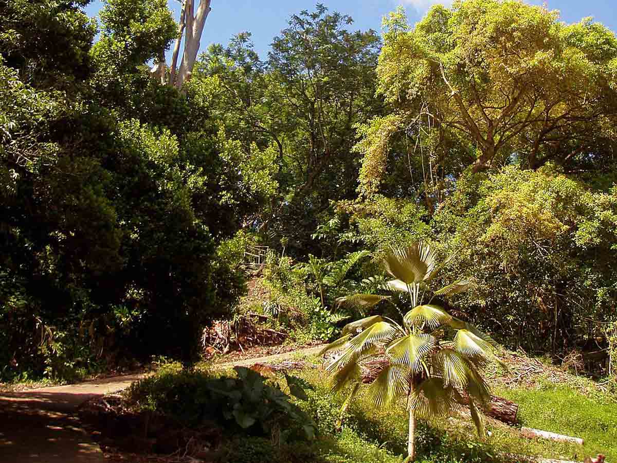 Wahiawa, Hawaii