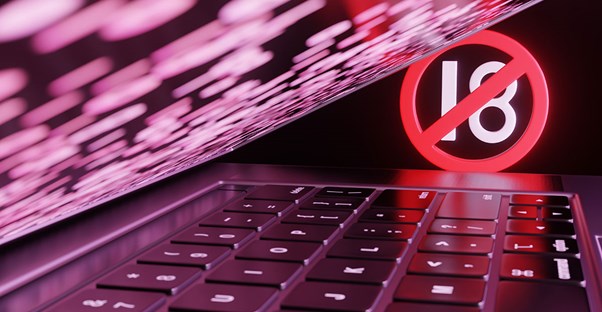 States That Have Banned User Favorite Sites