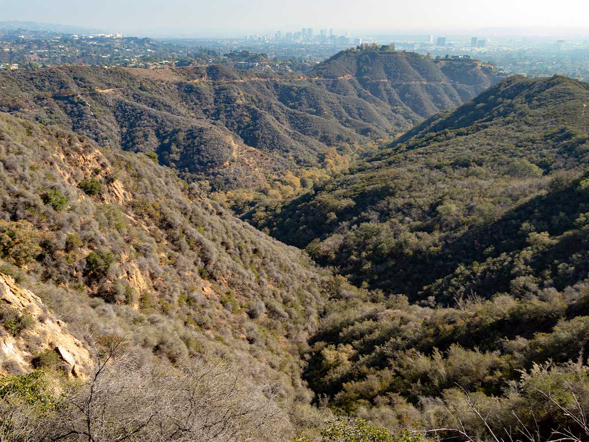 Before: Runyon Canyon