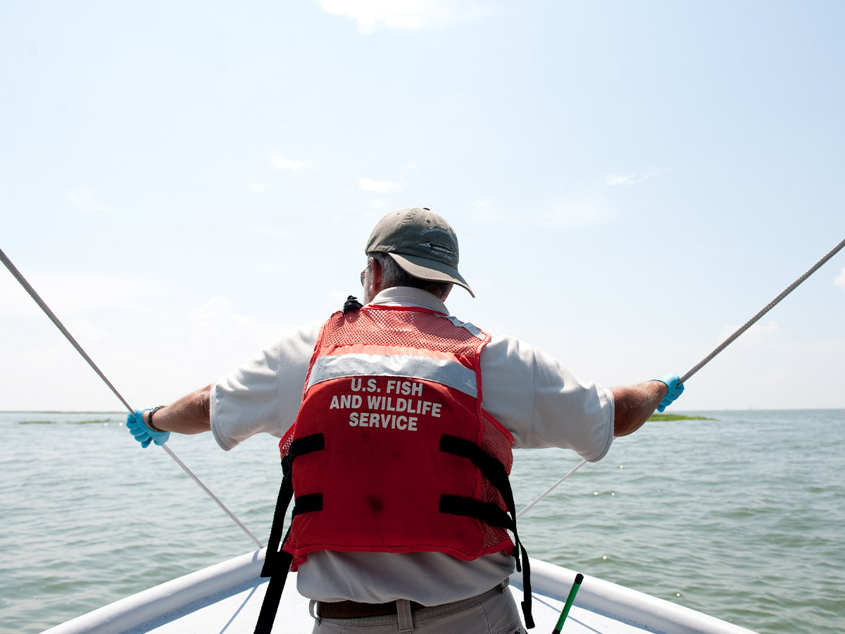 Wildlife Conservation Roles