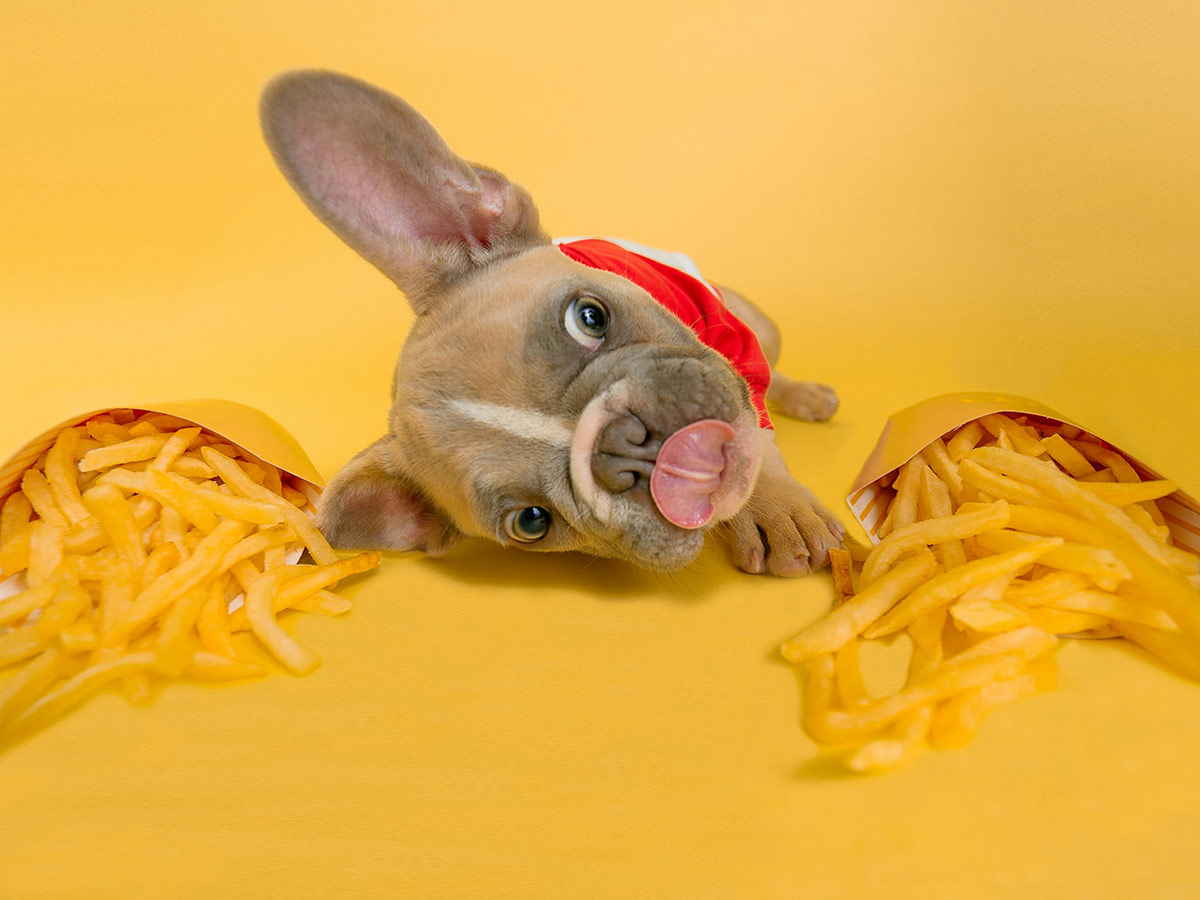 Processed Foods and Additives