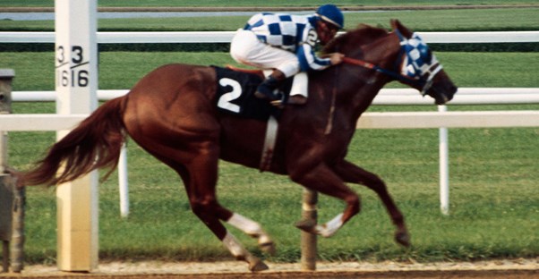 Secretariat 31 length victory