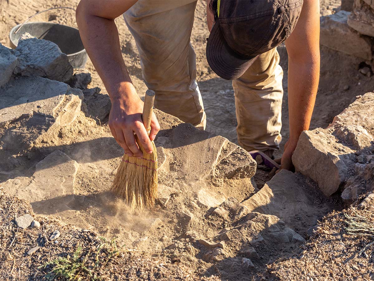 Anthropology and Archaeology